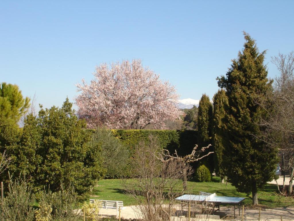 Domaine De La Grange Neuve Hotel La Roque-sur-Pernes Bagian luar foto
